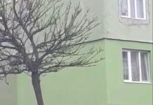 FOTO, VIDEO / ACTUALIZARE: REGLARE DE CONTURI LA SIGHET CU BÂTE DE BASEBALL ÎN STRADĂ ÎN PLINĂ STARE DE URGENȚĂ. S-A LĂSAT CU DOSAR PENAL