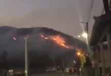 VIDEO EXCLUSIV: 26 incendii în 24 de ore – Pădure în flăcări între Poienile de sub Munte și Crasna Vișeului din cauza inconștienței sătenilor care fac „curățenia de primăvară” cu foc