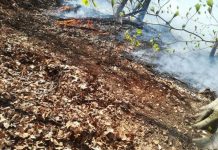 OAMENI INCONȘTIENȚI: Ard pădurile în tot județul. La Suciu de Sus și pe Valea Vaserului flăcările abia sunt ținute sub control (FOTO/VIDEO)