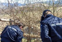 O ALTFEL DE MISIUNE A JANDARMILOR MONTANI: Vipere descoperite la Budești (FOTO)
