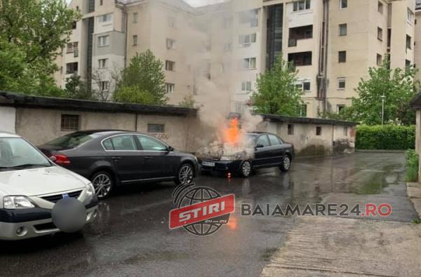 96005005_3534108203283019_6959521472649887744_n