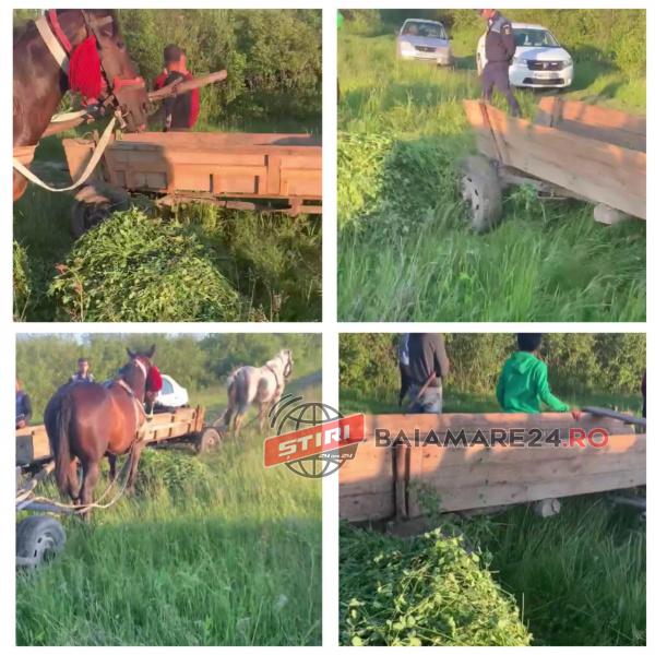 98469879_293746901649271_3275713458636587008_n