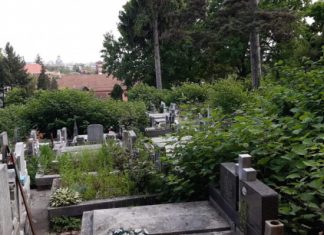 FOTO EXCLUSIV: DIN CAUZA PANDEMIEI – Cimitirul Dealul Florilor din Baia Mare arată ca o junglă