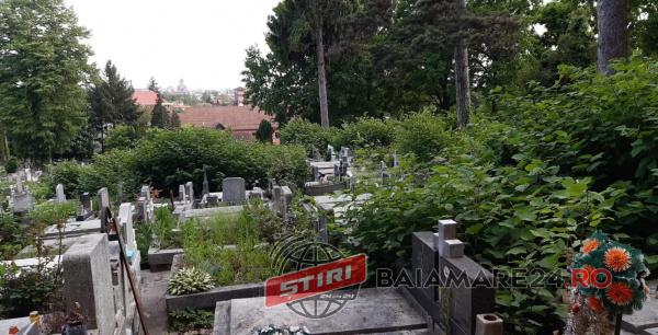 citimir-baia-mare-2