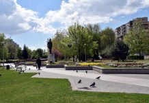 Trebuie să fim responsabili pentru noi şi cei din jurul nostru, pentru întreaga comunitate. Măsurile igienico-sanitare minimale ne pot salva viaţa – Dr. Viorica Cherecheş, deputat de Maramureş