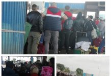 GALERIE EXCLUSIV FOTO: Calvarul maramureşenilor întorşi din Germania, înghesuiţi ca vitele la vama Nădlac