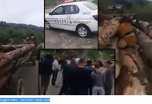 PRELUARE RISEPROJECT: Raportul mușamalizat care ar fi putut salva pădurile Maramureșului. 40 milioane euro pagubă (VIDEO)