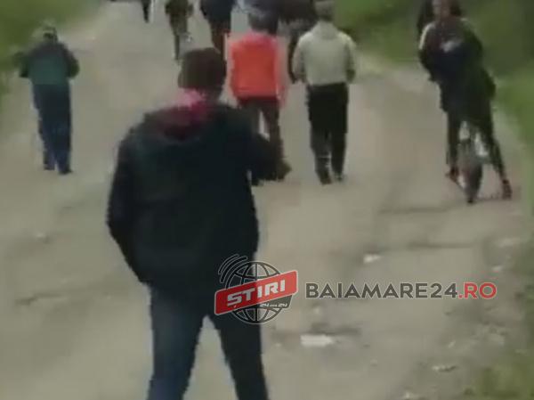 poienile de sub munte (7)