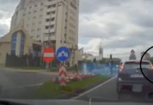VIDEO ȘOCANT: BIZON DE BAIA MARE – S-a dat jos de mașină la semafor și a atacat o șoferiță (ACTUALIZARE)