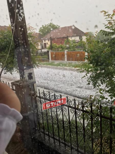 101718270_292894518536306_6389618469687525376_n