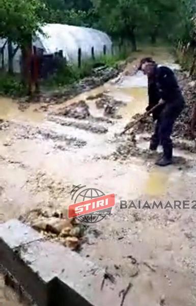 103309091_1957702374365985_4889371766152563222_n