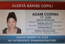 ALERTĂ RĂPIRE: O minoră a fost răpită din Borșa sub privirile fratelui ei. Găsită în Șiria (actualizare)