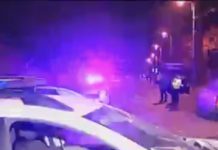 AFACERISTUL ”DOCTORE” A COMIS-O DIN NOU LA VIȘEU DE SUS: Urmărit de poliția de frontieră și încătușat