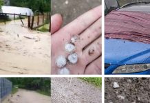 GRINDINA A FĂCUT PRĂPĂD LA LĂPUŞ ŞI SUCIU DE SUS – INUNDAŢII LA CURTUIUŞU MARE DUPĂ O RUPERE DE NORI (foto/video)
