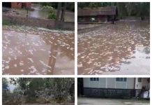 POTOP LA VĂLENII ȘOMCUTEI: Drumurile și terenurile agricole sub ape după o rupere de nori. Oamenii sunt revoltați (FOTO/VIDEO)