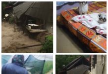 Galerie foto/video: Potop la SĂLIȘTEA DE SUS, TISA, SIGHET, VIȘEUL DE JOS și BOCICOEL. Zeci de case inundate, drumuri acoperite de ape, terenuri distruse (ACTUALIZARE)