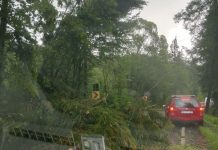 ACTUALIZARE: Potop la Suciu de Sus! Trafic restricționat pe DN18 în pasul Hera. Copaci căzuți pe carosabil dar și peste autoturisme aflate în trafic (FOTO/VIDEO)