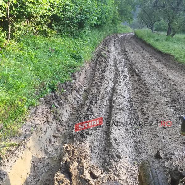 str dealu cetatii bretea dreapta iul 20 1