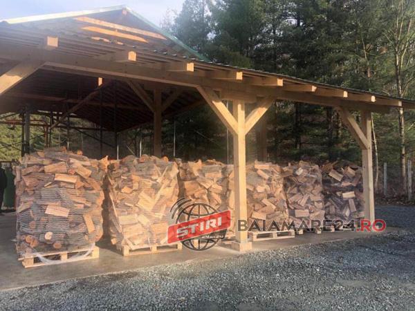 117197704_349291739802322_6169529842957866961_n