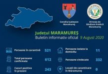 EXCLUSIV: AVEM CIFRELE DEZASTRULUI DE LA DSP Maramureș: 9.447 de teste în județ de la începutul pandemiei COVID-19