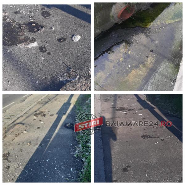 117607675_330422634660288_4821552038435047134_n