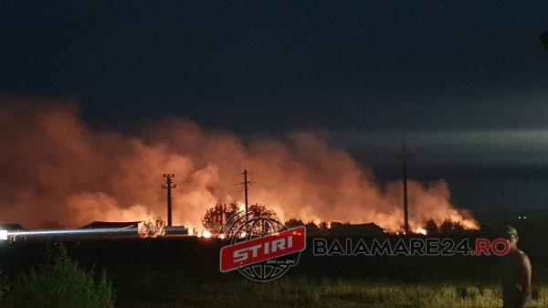 118156132_296015248368224_3226583272273196706_n