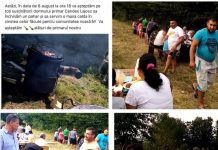 PARANGHELIA DE LA COLTĂU: Au amendat ”organizatorul” cu 2.000 de lei. Cine este? E secret de stat (ACTUALIZARE)