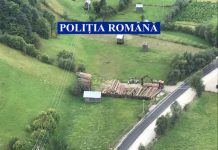 JAF ÎN PĂDURILE JUDEȚULUI: 2.000 mc de lemn indisponibilizate de poliție la Groșii Țibleșului și Poienile de Sub Munte (VIDEO)