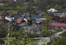 EXCLUSIV: Primăria Valea Chioarului și-a testat angajații. O angajată are soțul confirmat pozitiv. ”Dumnezul Maramureșului” nu își dă demisia?