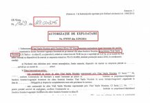 CONFLICT DE INTERESE? Un candidat la Primăria Vișeu de Sus a cerut lemn, a aprobat și a tăiat (foto document)d