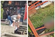 FOTO/VIDEO EXCLUSIV: Imagini șocante – Tânăr inconștient căzut în stradă în Baia Mare. Bărbat decedat lângă poarta casei în Inău