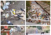 FOTO/VIDEO EXCLUSIV: DUPĂ BLOCURILE GRI, REALITATEA ESTE DURĂ – Baia Mare, orașul îngropat în gunoaie dar și sufocat de câinii maidanezi