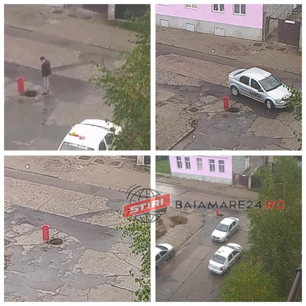 121733630_1198644927188685_4858646743106400723_n