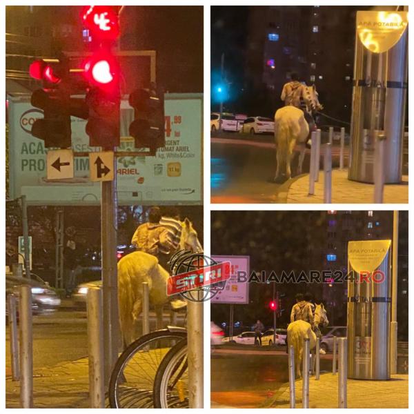 123231185_662080347818906_7635171976307706942_n