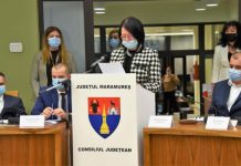 Crina Chilat (PSD): Activitatea consilierilor județeni începe sub semnul îndoielii în mandatul președintelui Ionel Bogdan
