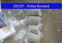 FOTO: FLAGRANT – COCAINĂ și cannabis în valoare de 43.000 euro depistate în Sighetu Marmației (actualizare)