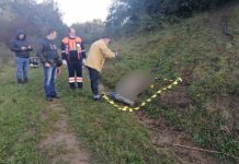 FOTO/VIDEO: TRAGEDIE LA SIGHET: L-A CONFUNDAT CU UN MISTREȚ – Bărbat împușcat mortal la o partidă ilegală de vânătoare