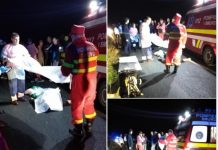 TRAGEDIE LA STRÂMTURA: Un bărbat a căzut din remorca unui tractor și a murit. Transporta două vaci (galerie foto / actualizare)