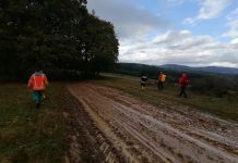 Actualizare: Culegător de ciuperci dispărut în zona împădurită Stremț, găsit în viață în Odești