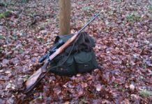 DOSAR PENAL: Un borșean a împușcat ilegal doi mistreți