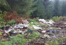 VREM O ȚARĂ CA AFARĂ: Pasul Prislop din Borșa – groapă de gunoi pentru culegătorii de fructe de pădure și ciuperci (galerie foto)