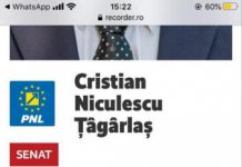Impostură marca PNL: CV-uri fabricate și ”îmbunătățite”!