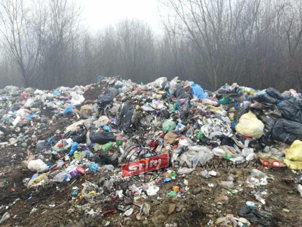 133281235_395692101696807_6290971588207927069_n