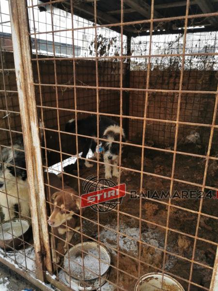 137514827_3721220414626999_5994371091547234783_o