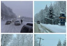 FOTO, VIDEO: S-A BLOCAT Pasul Gutâi! Trafic infernal și pe drumul județean spre Poienile de Sub Munte (ACTUALIZARE)