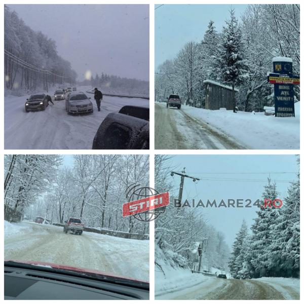 138218148_228735455453594_8070808656725654184_n