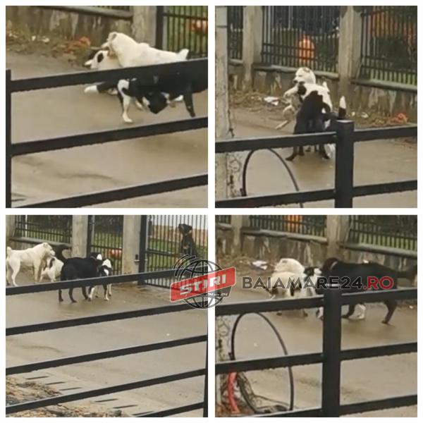 138596170_153103706395762_6243533041667013706_n