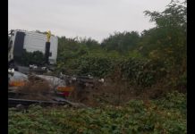 Editorial – Plimbare în țara care te vrea prost. Gunoaiele menajere copiază comportamentul tipic românesc! Temporar!