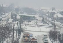 VIDEO – POLIȚIA RUTIERĂ NU I-A IERTAT! Amenzi aplicate drumarilor EXCLUSIV în Maramureșul Istoric. Haosul din Baia Mare nu l-a văzut nimeni?