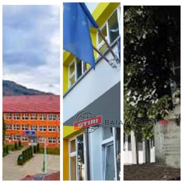 140060016_251780939676891_6805484913898857393_n